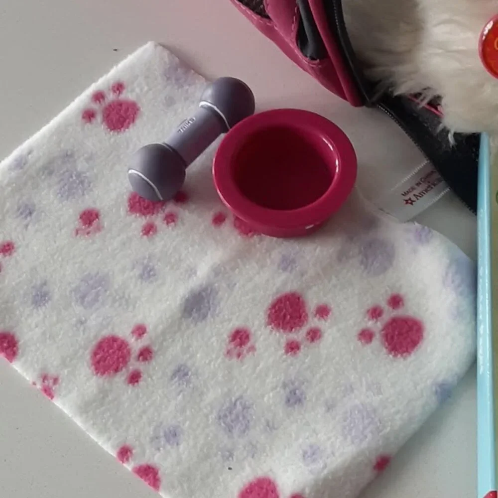 American Girl Coconut Dog Carry Case and Accessories + Bonus Book